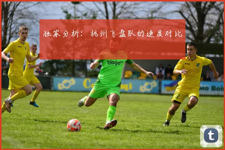 独家分析：杭州飞盘队的速度对比